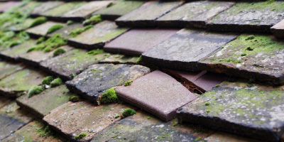 Muckley Corner roof repair costs